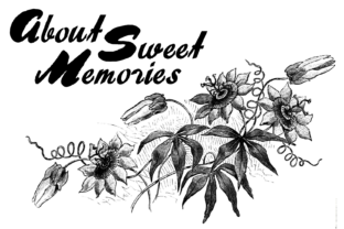 About Sweet Memories: A Rough Display Font for Editorial Design