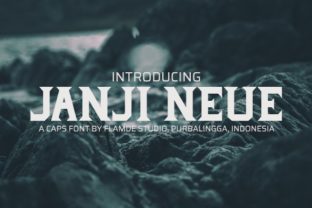 Janji Neue: The Display Typeface for Clearer Campaign Headlines
