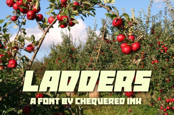 Ladders: The Perfect Techno Font for Creative Display