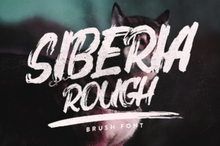 Siberia Rough Typeface Review: Adding Energy to Editorial Design