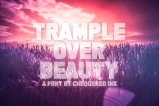 Trample over Beauty: A Solid Display Font for Bold Headlines